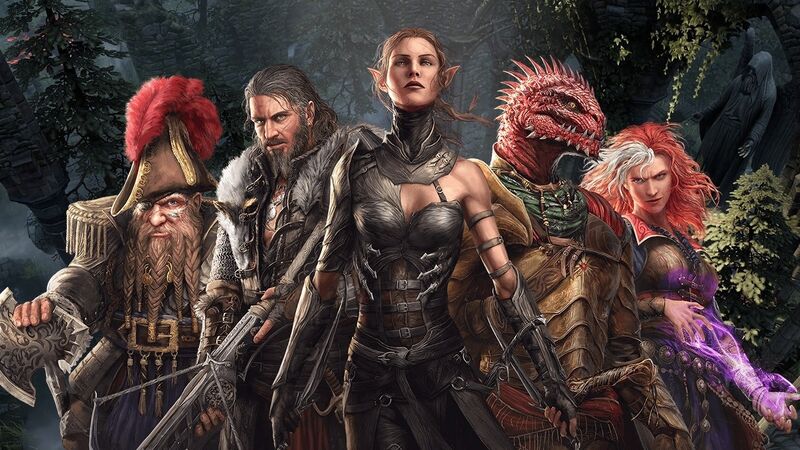 Divinity Original Sin Games 4 players Local Co-op. : r