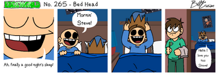 No. 265: "Bed Head"