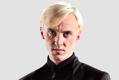 Draco Malfoy | Harry Potter Wiki | Fandom