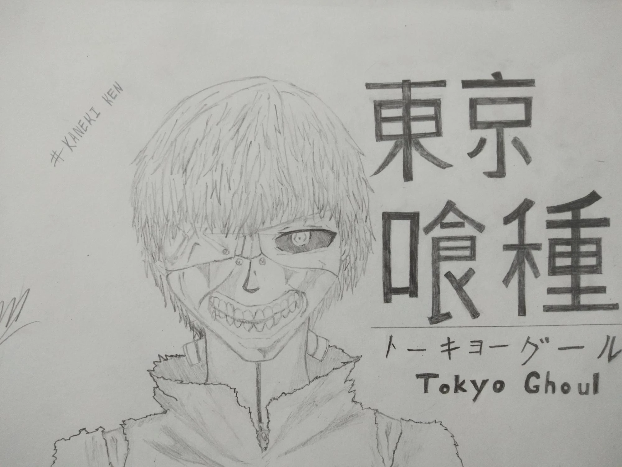 Ok I M Done With It Now Who Wants Me To Draw Touka Fandom