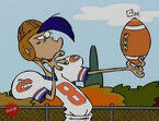 145px-Football rolf.jpg