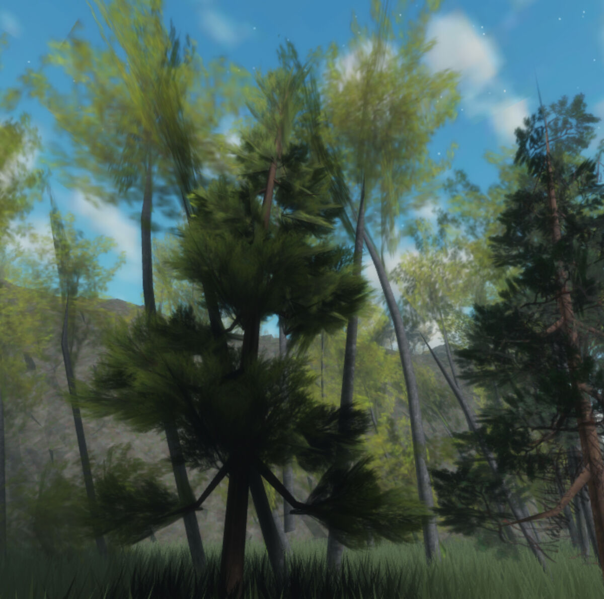 Forest Eden Orphan Home Wiki Fandom