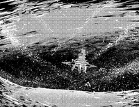 Aoi Cosmos