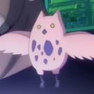 Payo (X442) Anime Profile