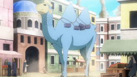 Camelish Anime