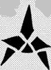 InterstellarUnionArmy Crest
