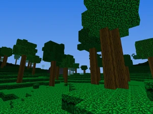 A screenshot of trees in a forest.
