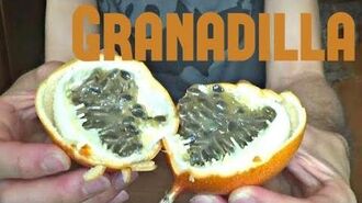 Granadilla_Review_-_Weird_Fruit_Explorer_Ep._34