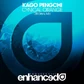 Cynical-Orange-Kago-Pengchi-CoverArt