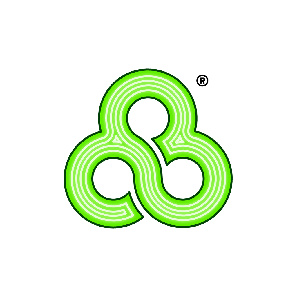 bonnaroo logo png