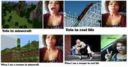 Minecraft collage