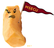 29mln5z.png