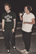 Ed and Harry Styles (2)