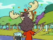 Moose-Head Edd.