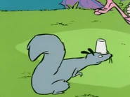 One of the squirrels that takes up Eddy's challenge of finding the nut.