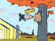 Once again, Jonny's head is stuck in a tree.