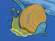 Snail