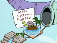 The Man Eating Turtle.