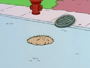 "Not at the sewer!"
