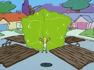 "Jiggly."