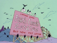 Sign for Peach Creek Estates.