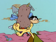 The potato.