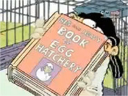 Big and Heavy Book of Egg Hatchery.