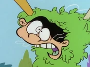 "LOOK AT THE SIZE OF THAT NORTHERN DUTCH ELM!"