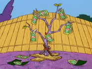 Rolf's Money Tree.