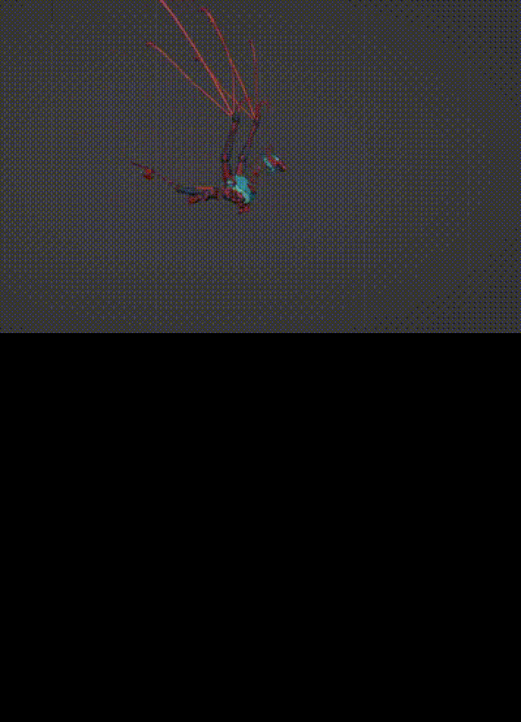 slowly but surely i will break this gif more(i think you have to click on  it for it to work lmao) | Fandom, image size:755x1047