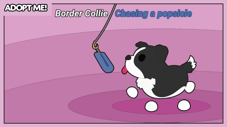 Border Collie, Adopt Me! Wiki
