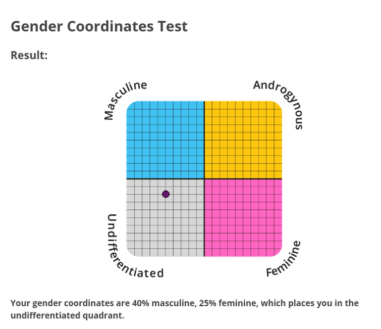 Personality style test php. Тест на гендер. Гендерные координаты. Тест на определение гендерной идентичности. Тест на IDRLABS. Com гендерные координаты.