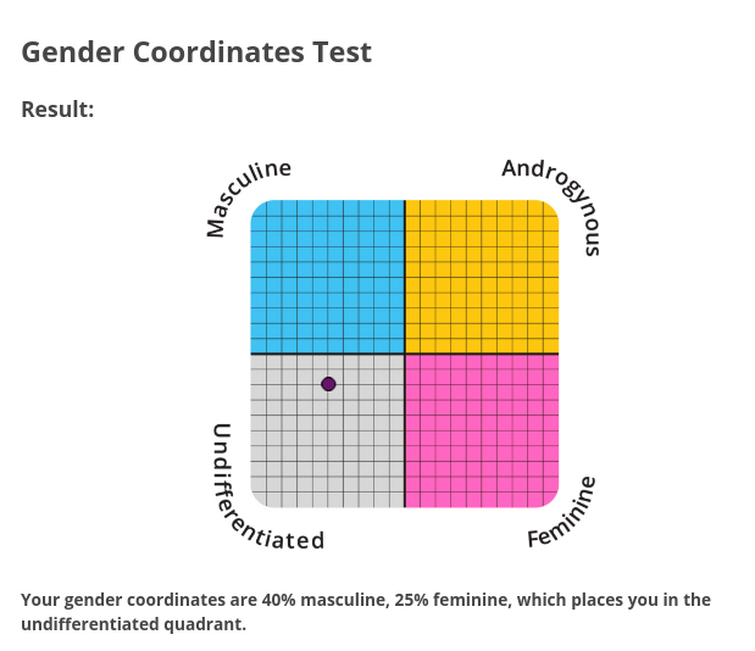 Гендерные координаты. Тест на гендер. Тест на гендерные координаты. Тест на определение гендерной идентичности.