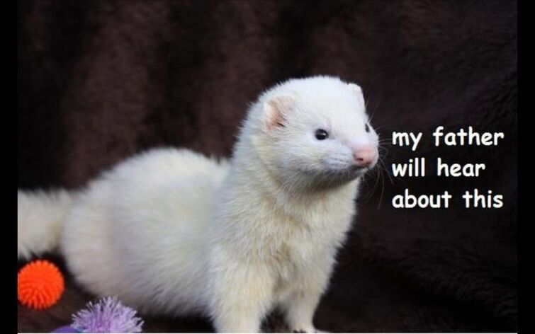 Fandom Image