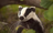 Avatar de Abel le Snargalouf
