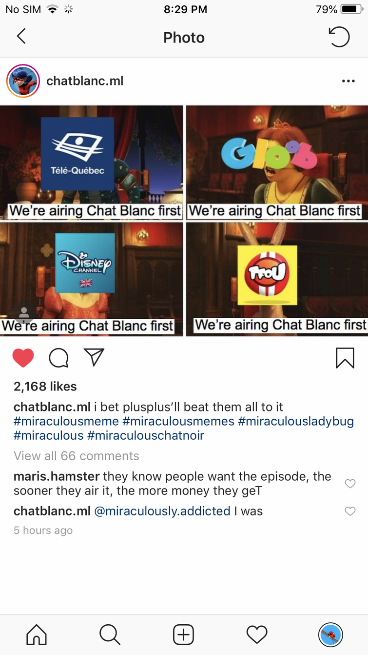 Got Some Cat Blanc Memes Fandom