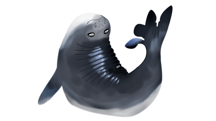 seal doodle - lf criticism / critique :D | Fandom