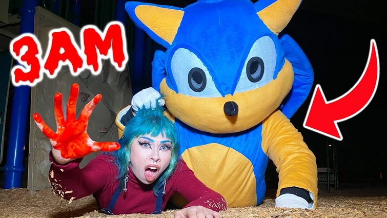 Oh No Sonic Why Fandom