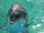 AqaEmi