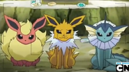 The three Eeveelutions native to the Kanto Region.