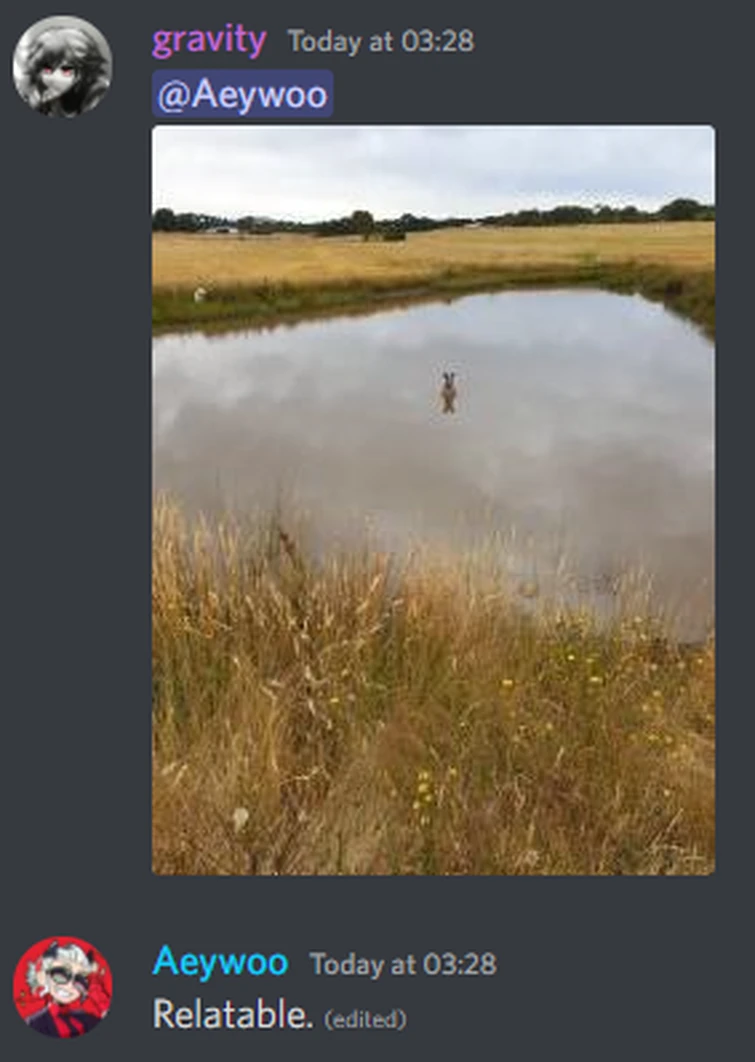 Normal day in the doors wiki discord server D Fandom