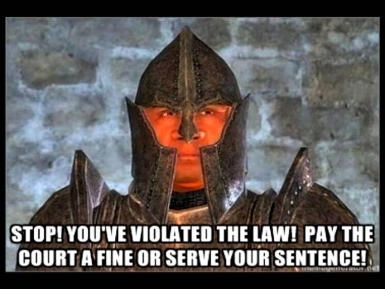 Stop youve violated the law meme