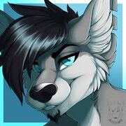 Wolf's profile picture, a smirking gray wolf with gray fur, a white muzzle and inner ears, black nose, bright blue irises, and black human-like hair in the form of a sidesept undercut, eyebrows, and goatee