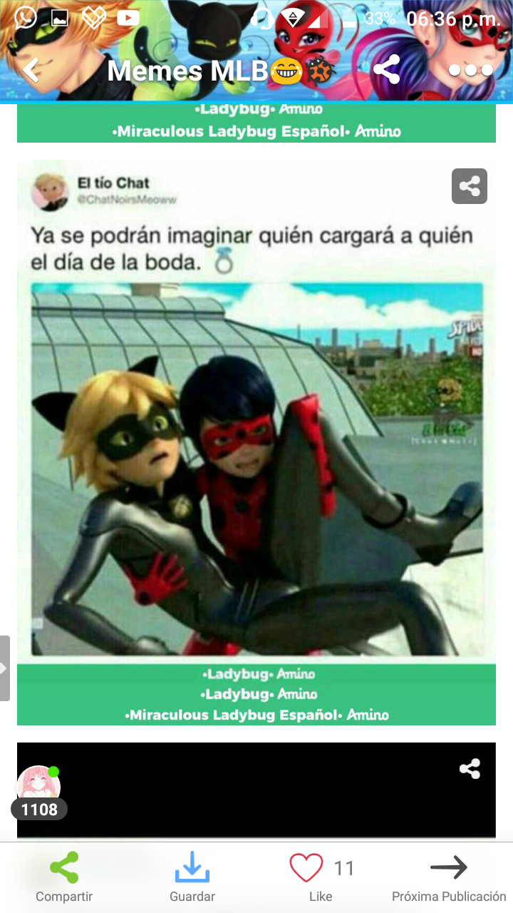 Memes De Ladybug Y Cat Noir