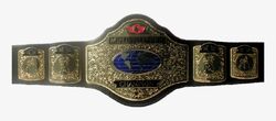 CWA Breakthrough Champion.jpg