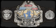 E-Fed Champion of Champions