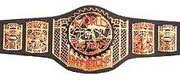 An image of the ECDL World Tag Team Championship.