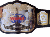 PWX World Tag Team Championships