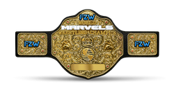 FZW Marvels World Championship.png