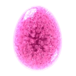 Egg 11
